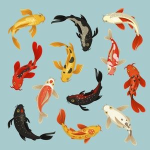 Meet your Posher, Jacob